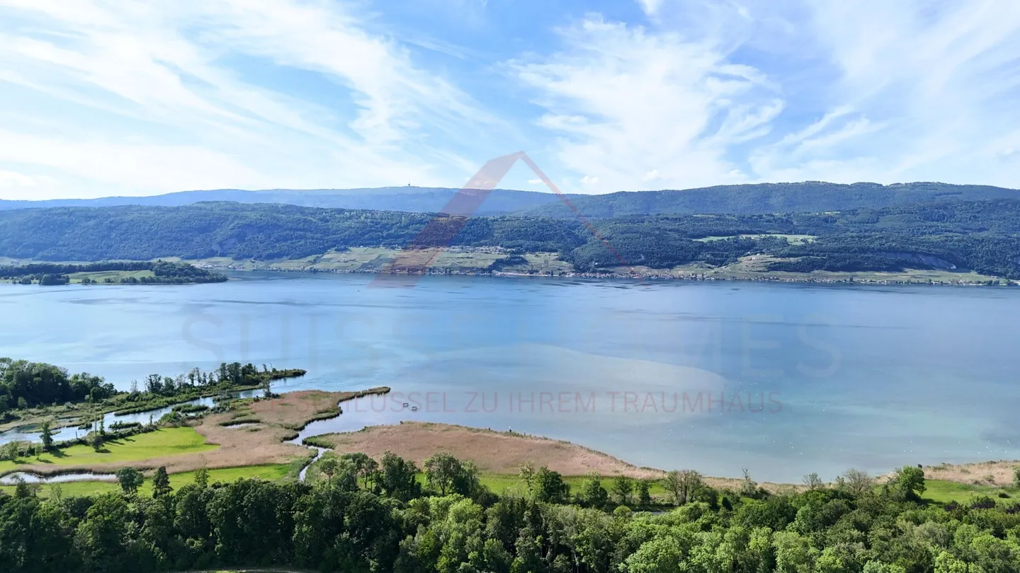 Paradiso familiare con giardino da sogno e stagno naturale a Hagneck - Foto 29 di 30
