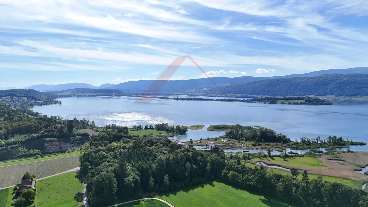 Paradiso familiare con giardino da sogno e stagno naturale a Hagneck - Foto 30 di 30