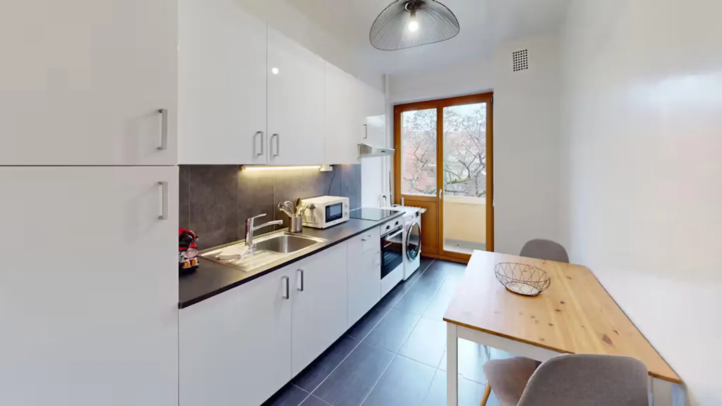 Charming Geneva Apartment - Photo 3 of 7