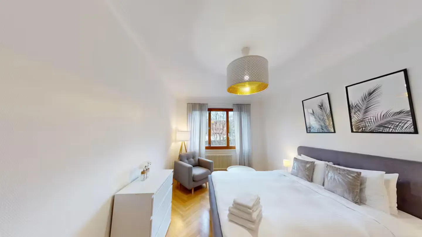 Charming Geneva Apartment - Photo 5 of 7