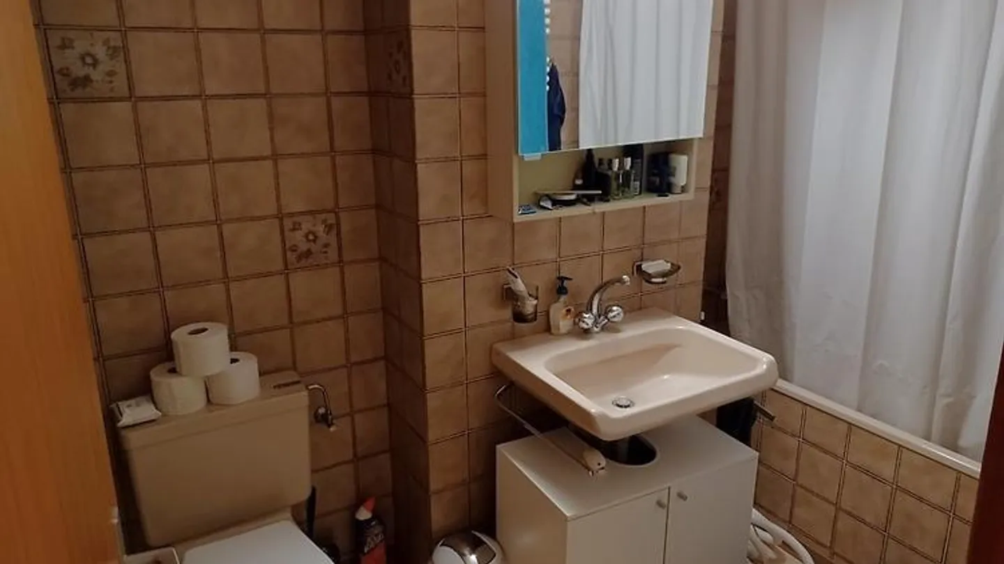 APPARTAMENTO 2 STANZE A BERN - CITTÀ VECCHIA, ARREDATO, TEMPORANEO - Foto 4 di 7