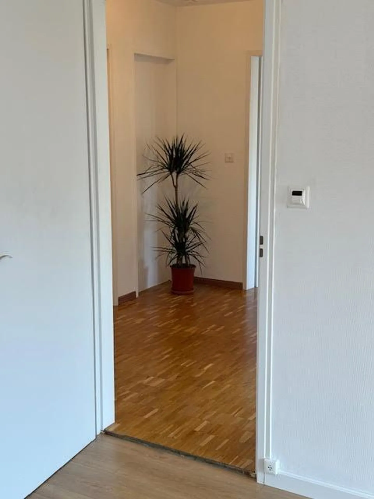 Quiet corner apartment with underground parking space - Photo 13 of 16