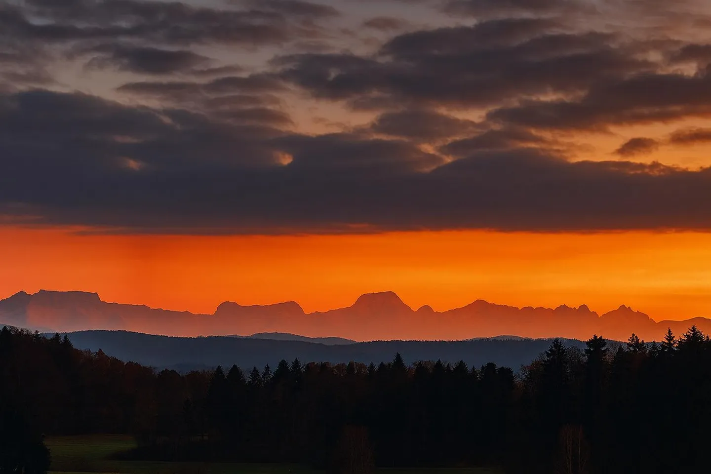 6 ½ Maison individuelle détachée avec galerie - Photo 1 sur 15