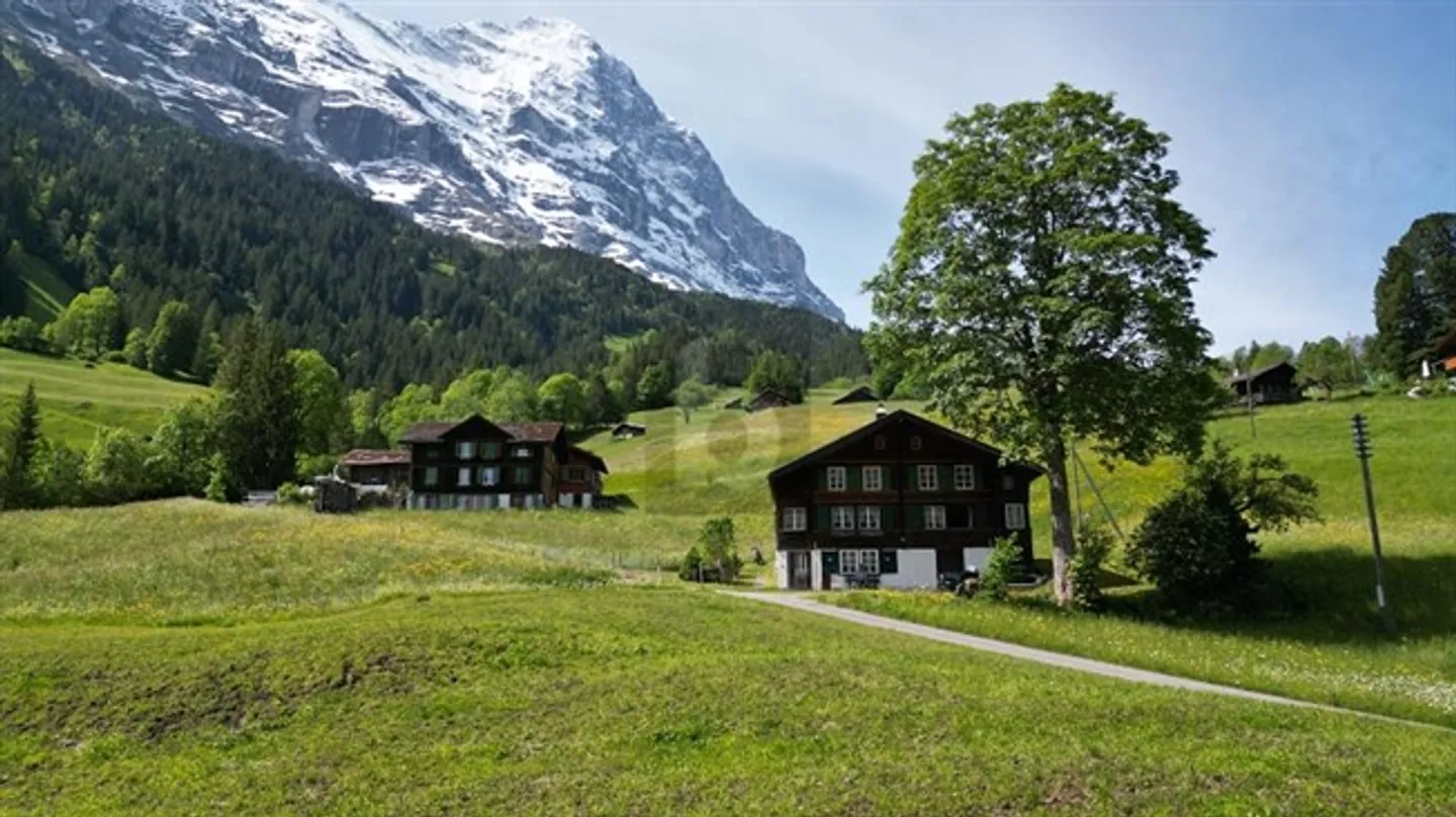 Chalet indipendente ai piedi dell'Eiger - Foto 2 di 6