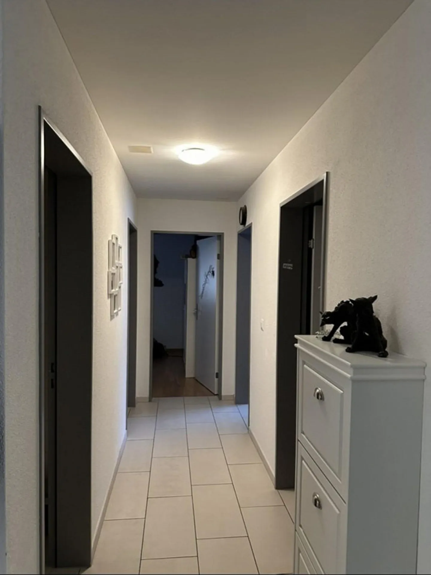 5.5 Room Apartment in Seengen - Photo 2 of 5