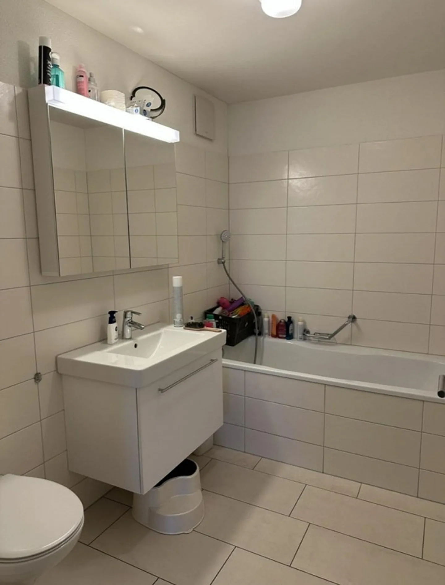 5.5 Room Apartment in Seengen - Photo 3 of 5