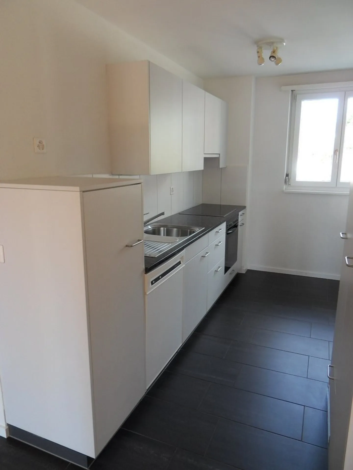 Zwischen Limmat und Rebbergen: Höngg verbindet Natur mit Stadtleben - Foto 2 von 6