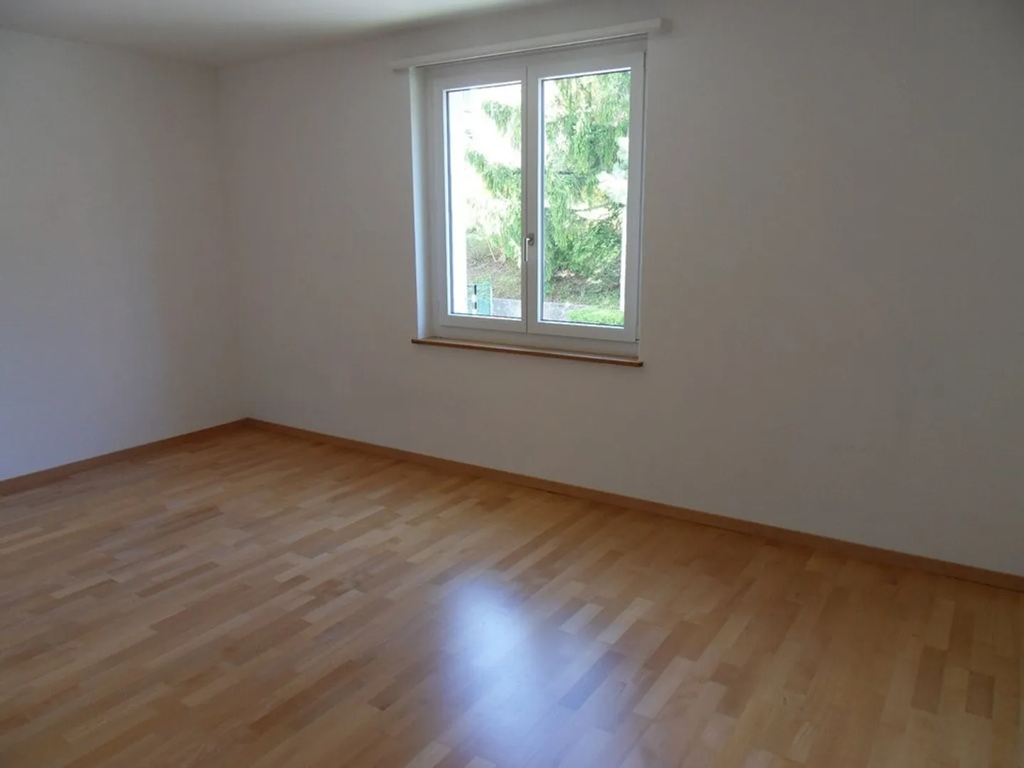 Zwischen Limmat und Rebbergen: Höngg verbindet Natur mit Stadtleben - Foto 5 von 6