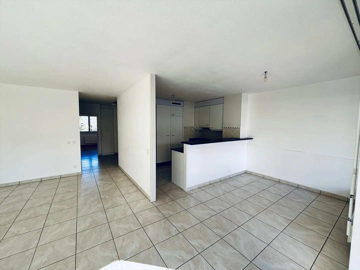 Beautiful CASATAX 4-room apartment in Lancy - Photo 3 of 11