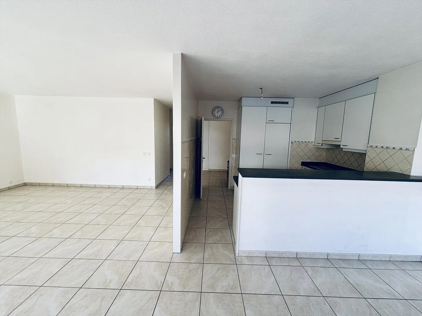 Beautiful CASATAX 4-room apartment in Lancy - Photo 4 of 11