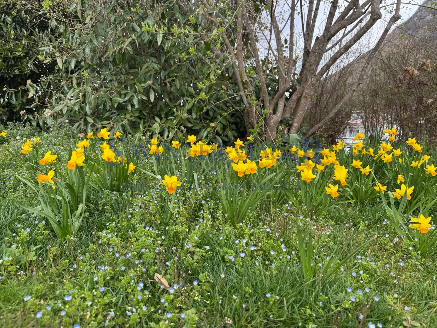 Belle vue, triplex dans une résidence sécurisée - Viager occupé - Photo 19 sur 24