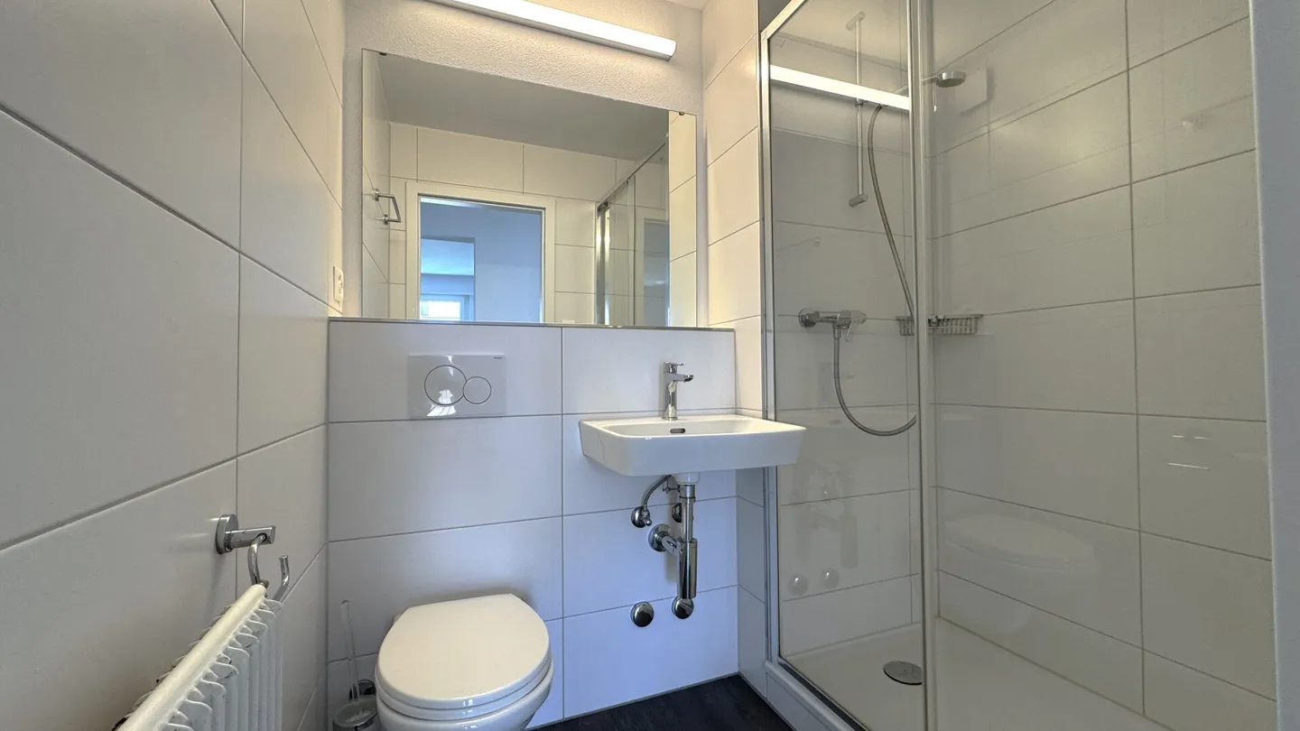 Renovierte 4,5-Zimmer-Wohnung mit herrlichem Blick und einem sehr schönen Garten - Foto 3 von 15