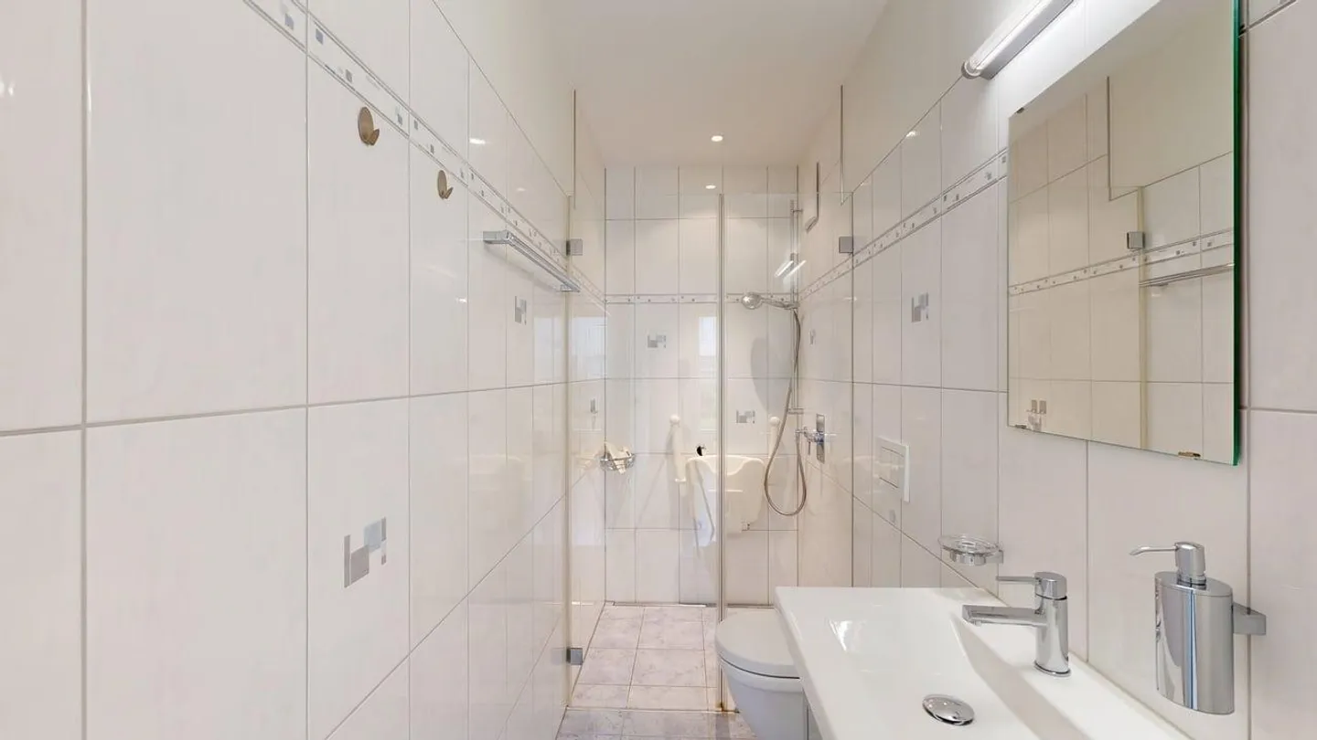 Bright 5.5-Room Garden Apartment with Plenty of Space to Live - Photo 9 of 12