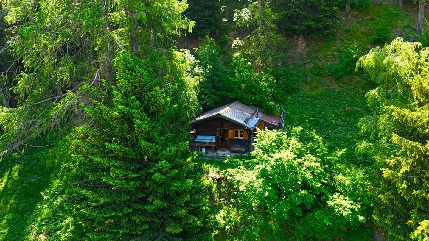 Cottage de sorcière au milieu d'une clairière de mélèzes - Photo 1 sur 16