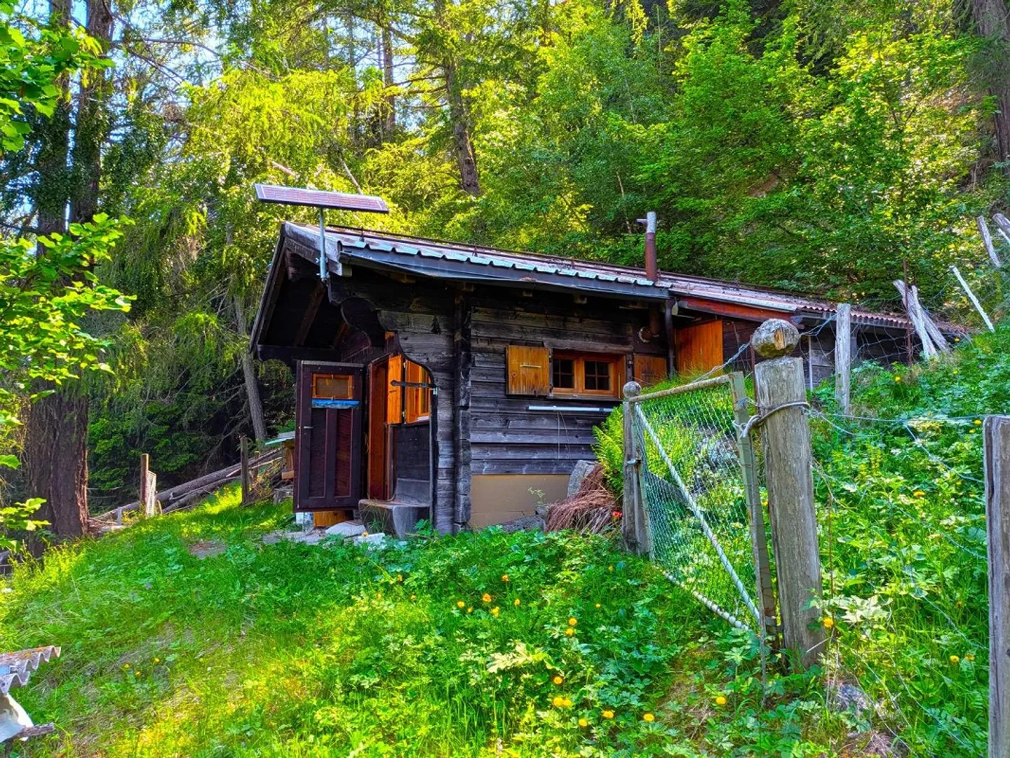 Cottage de sorcière au milieu d'une clairière de mélèzes - Photo 2 sur 16