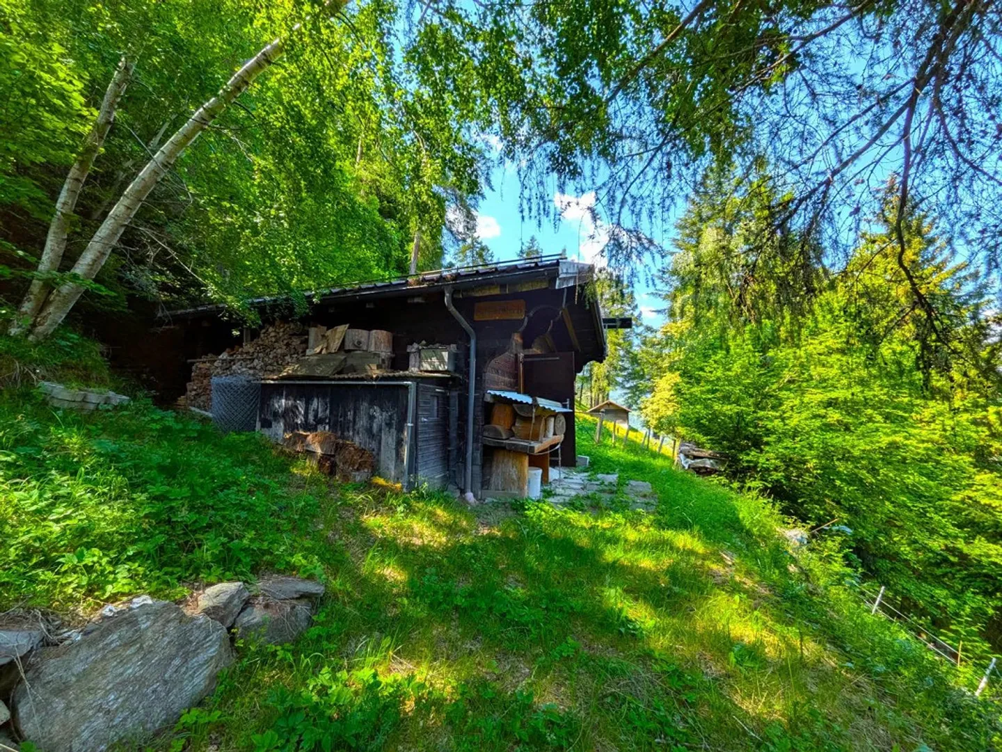 Cottage de sorcière au milieu d'une clairière de mélèzes - Photo 10 sur 16