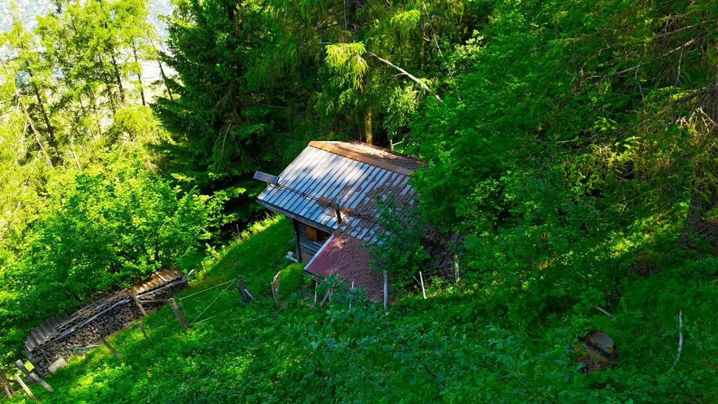 Cottage de sorcière au milieu d'une clairière de mélèzes - Photo 11 sur 16