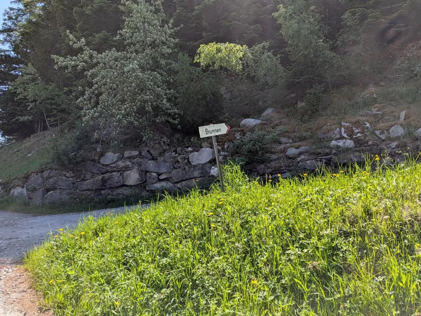 Cottage de sorcière au milieu d'une clairière de mélèzes - Photo 14 sur 16