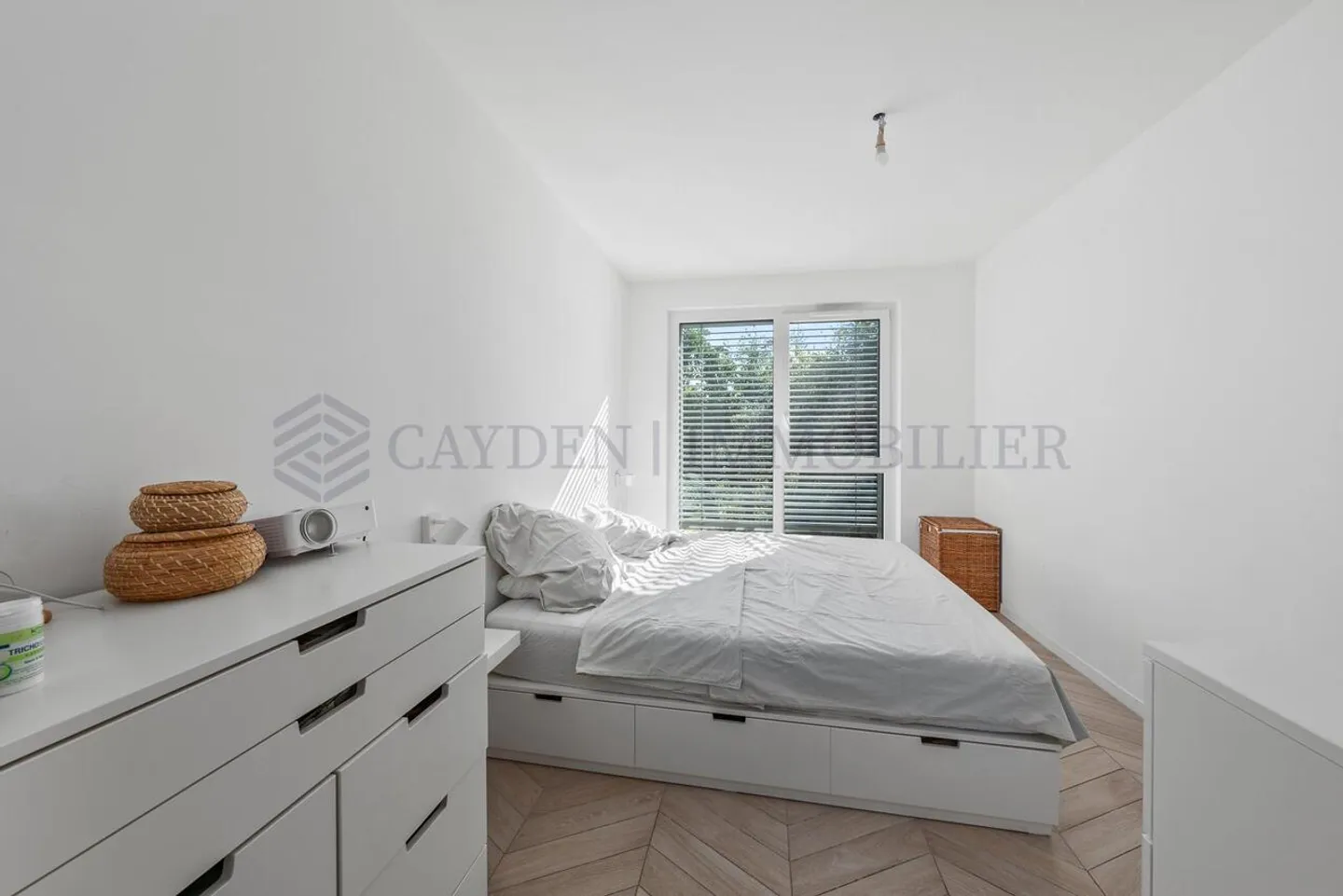 ESCLUSIVITÀ A THONEX!!! Ampio appartamento di 5 stanze - Foto 3 di 12