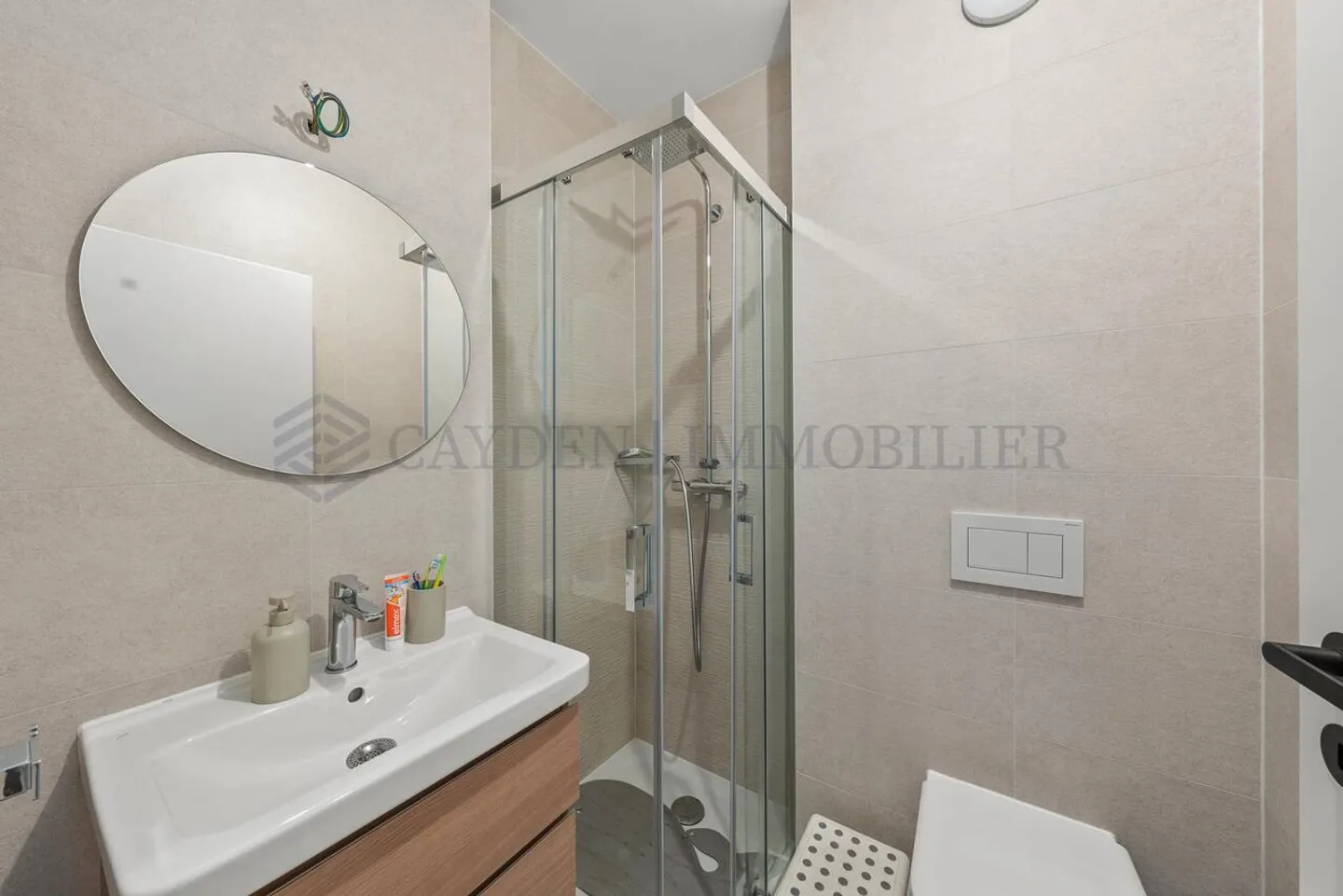 ESCLUSIVITÀ A THONEX!!! Ampio appartamento di 5 stanze - Foto 10 di 12