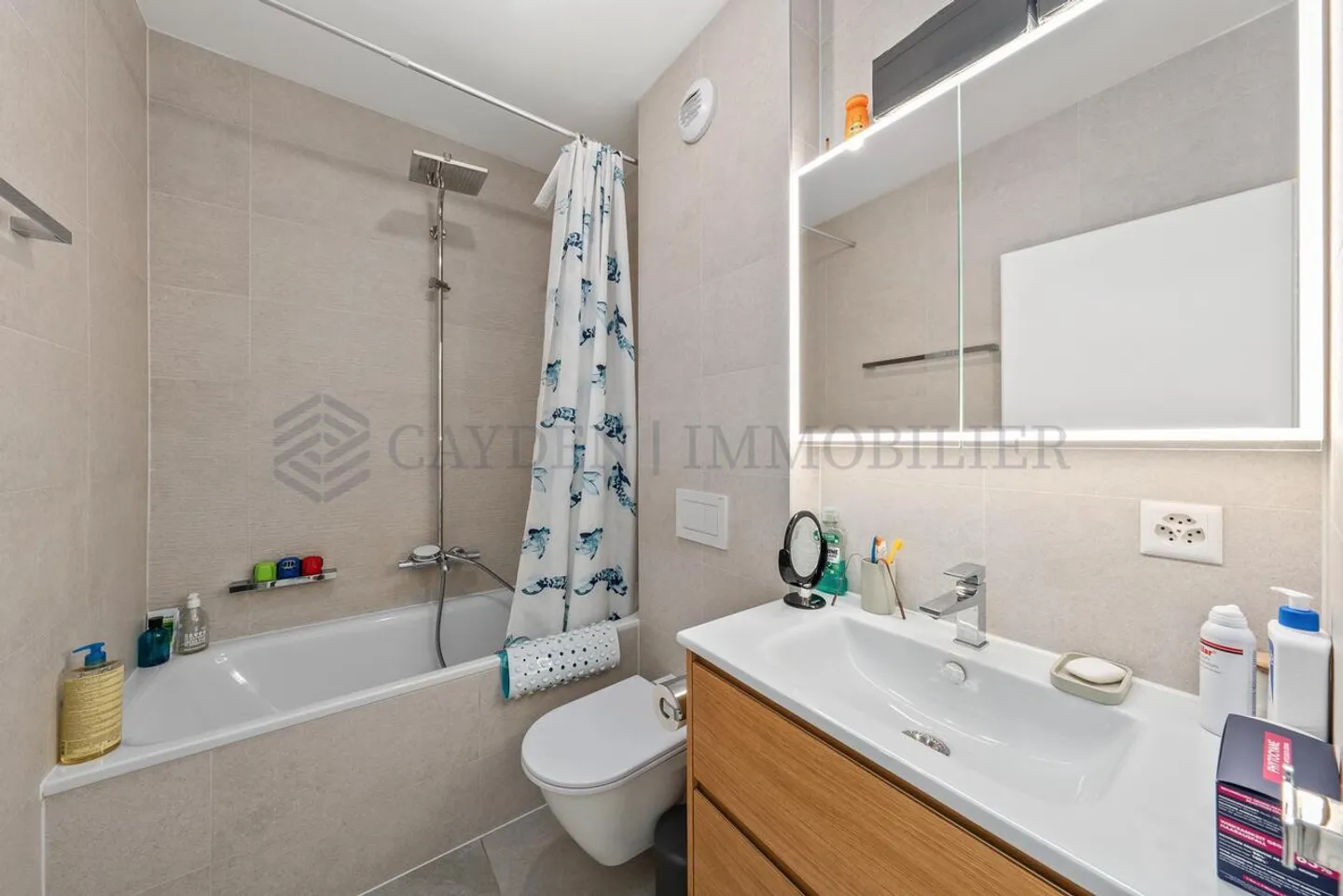 ESCLUSIVITÀ A THONEX!!! Ampio appartamento di 5 stanze - Foto 11 di 12