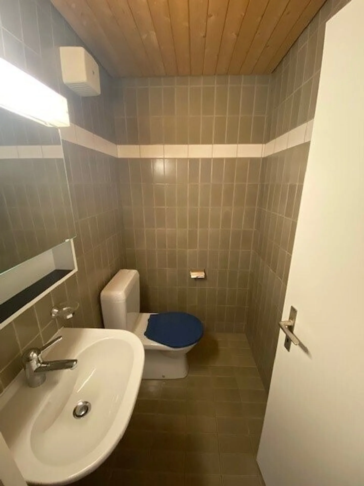 Appartamento 5.5 camere affascinante - Foto 12 di 12