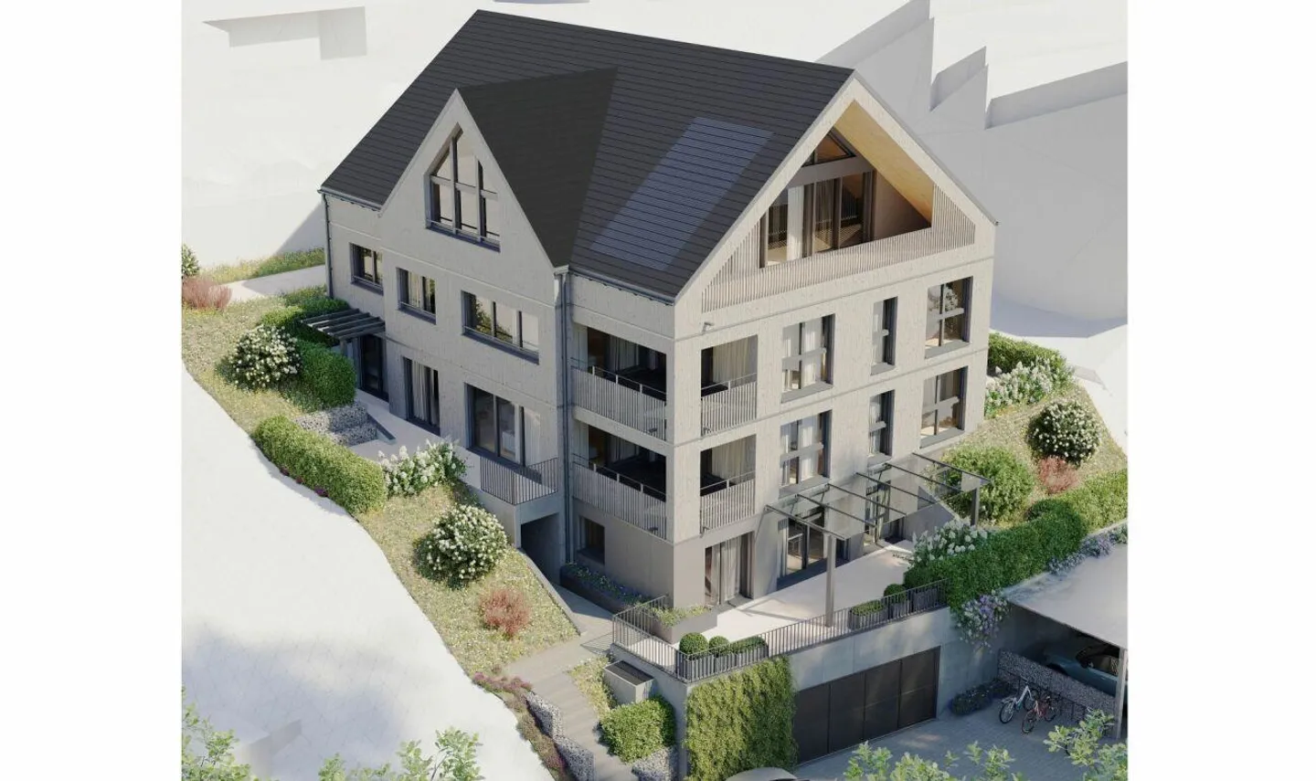 Au-dessus des toits de Wolfhausen - Photo 8 sur 10