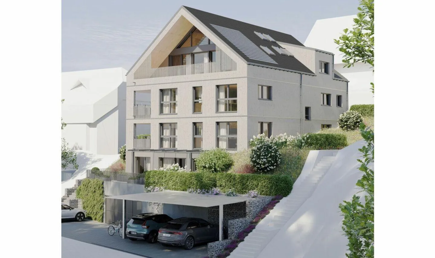 Au-dessus des toits de Wolfhausen - Photo 9 sur 10