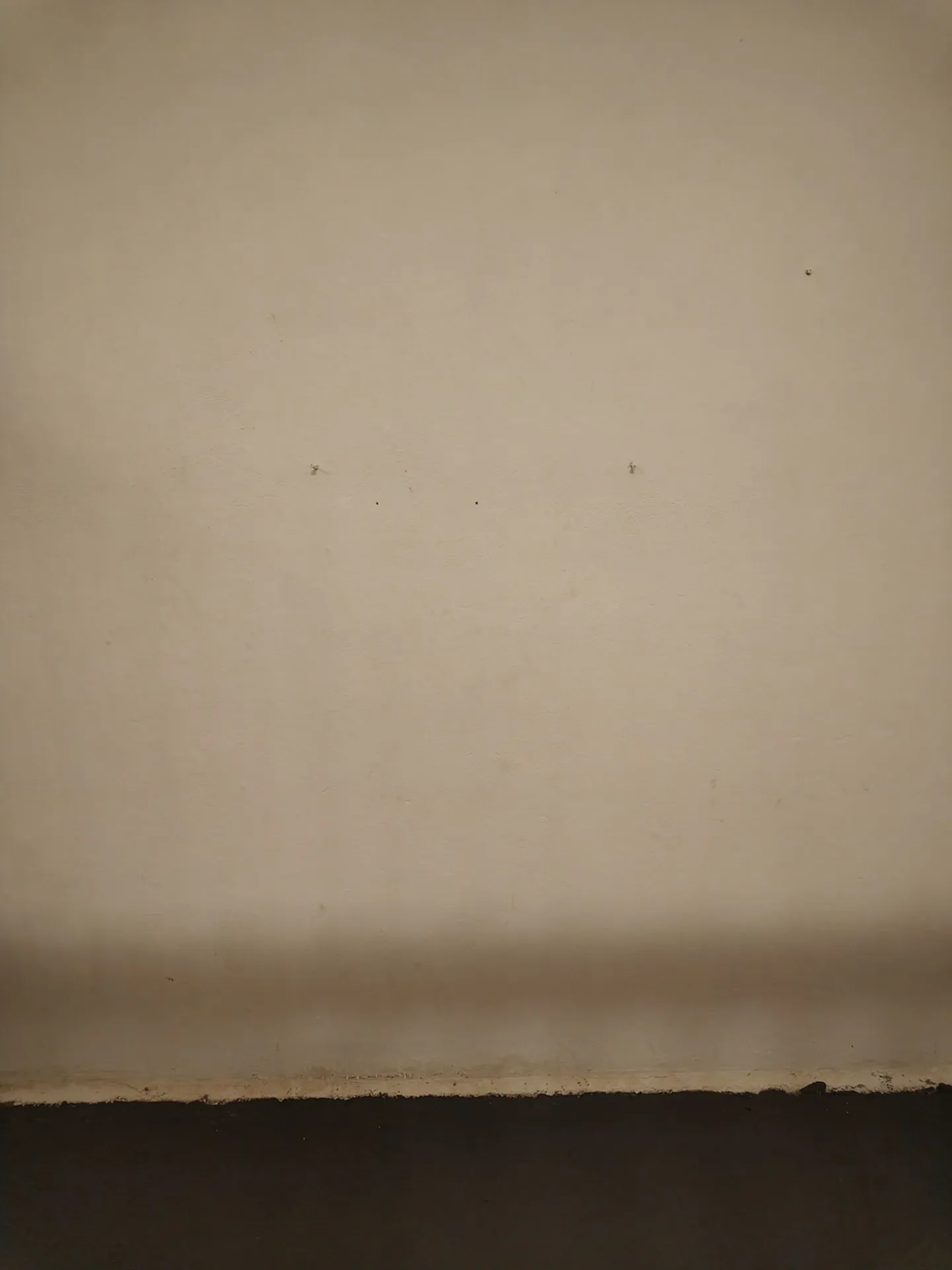 5.24m2 Storage Room Bern - Schwarztorstrasse 40 - Photo 1 of 10