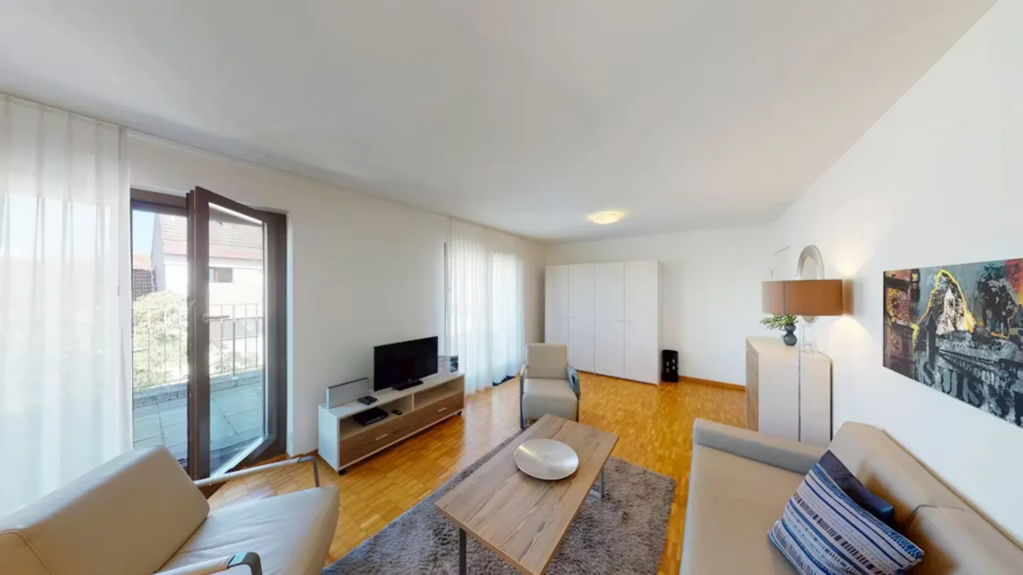 Charming Apartment in Basel - Photo 5 of 9