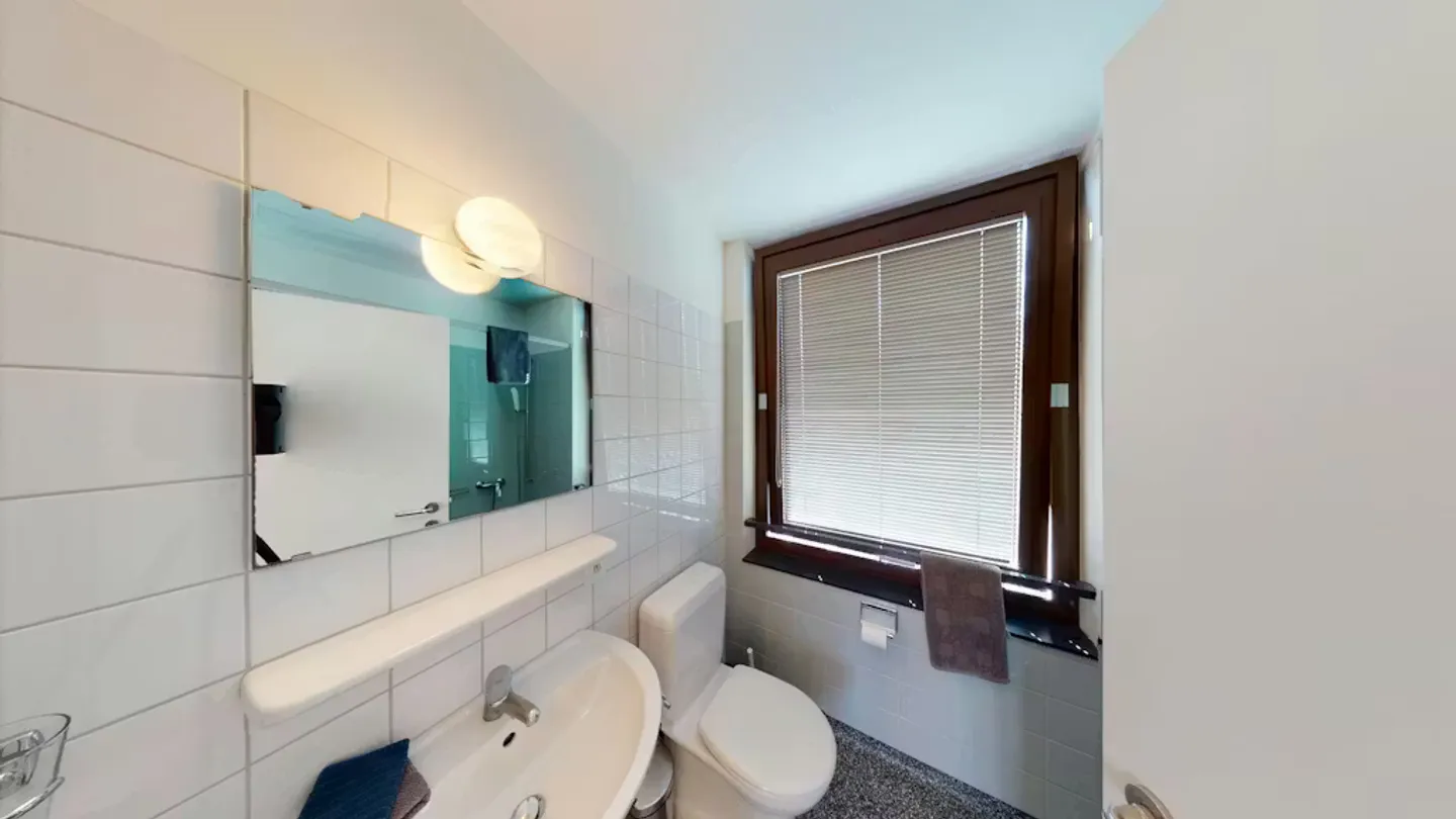 Charming Apartment in Basel - Photo 7 of 9