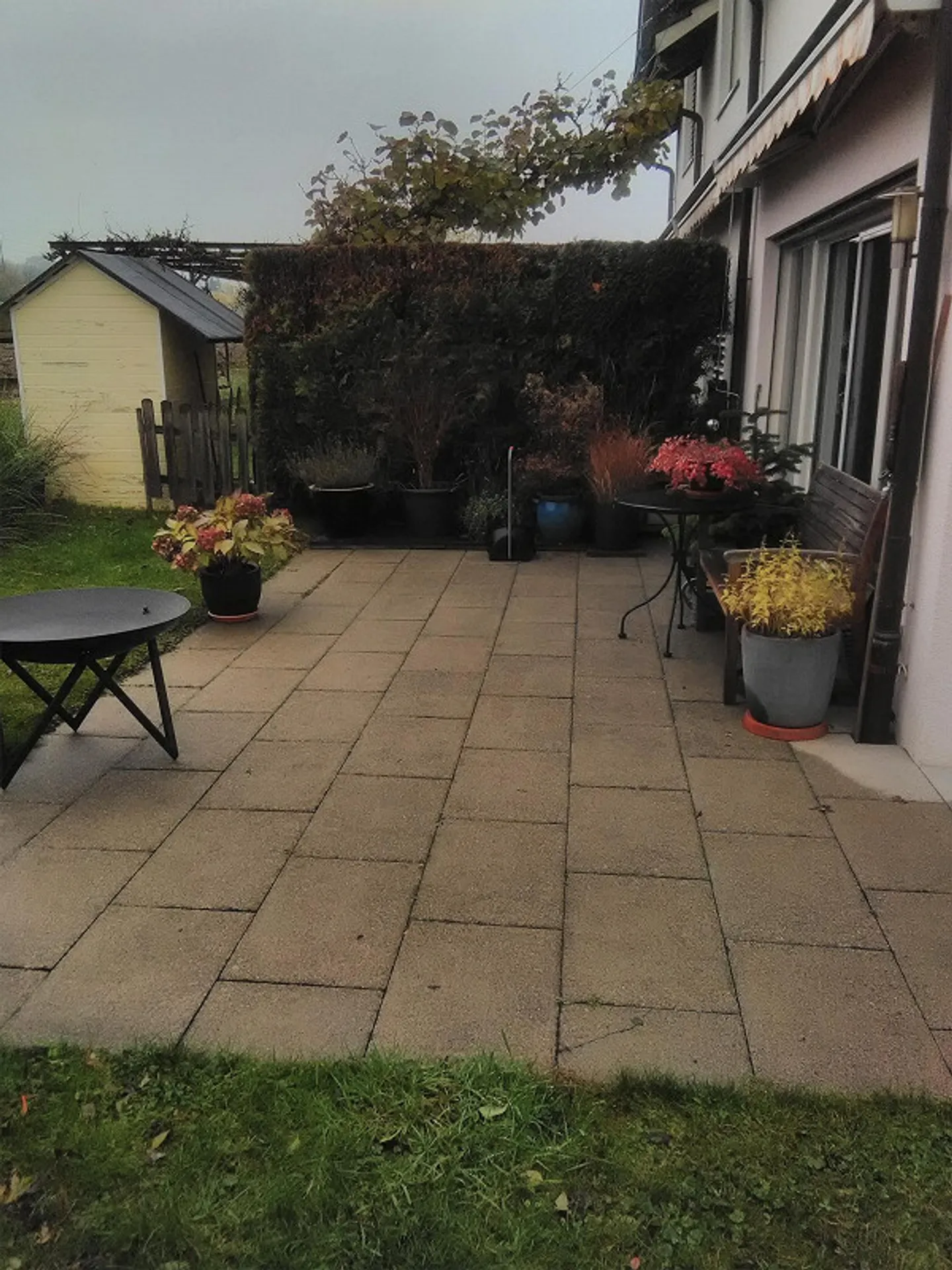 Appartamento 2,5 locali (parte di casa) con giardino - Foto 2 di 16