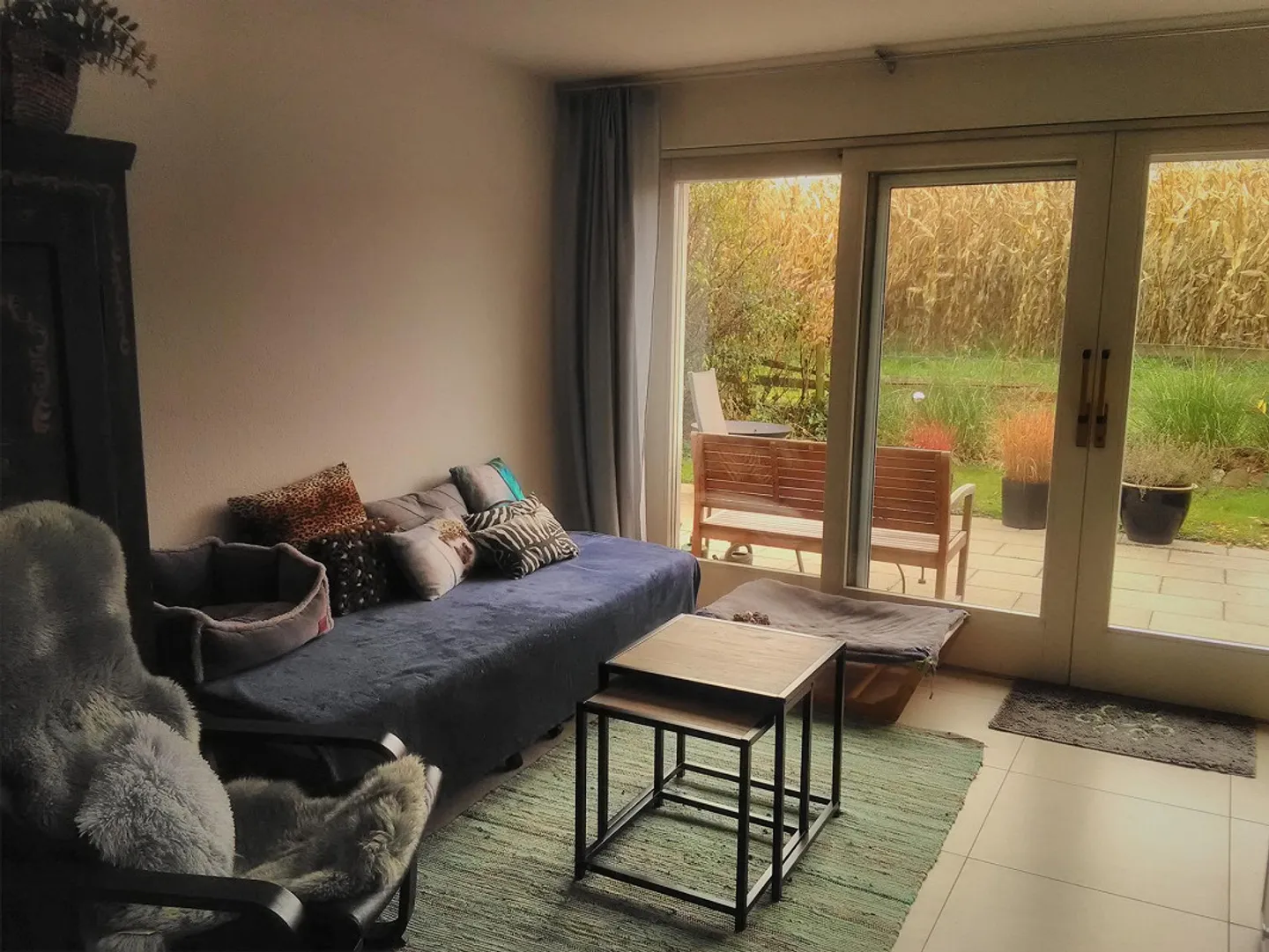 Appartamento 2,5 locali (parte di casa) con giardino - Foto 3 di 16