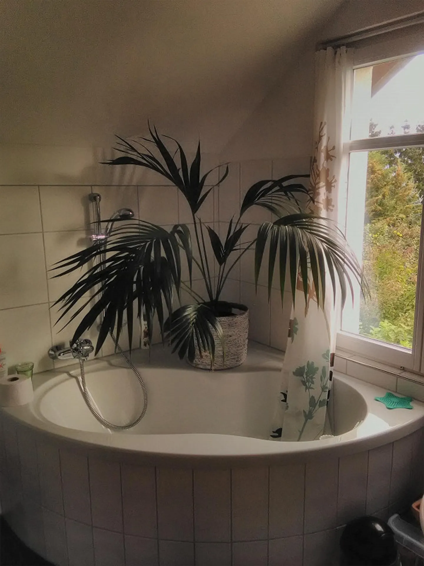 Appartamento 2,5 locali (parte di casa) con giardino - Foto 5 di 16