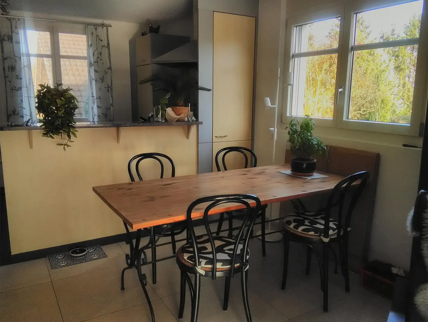 Appartamento 2,5 locali (parte di casa) con giardino - Foto 4 di 16