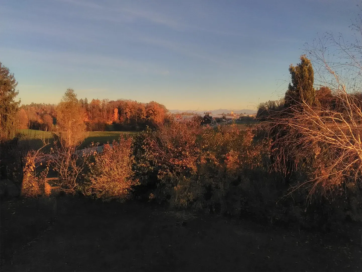 Appartamento 2,5 locali (parte di casa) con giardino - Foto 13 di 16