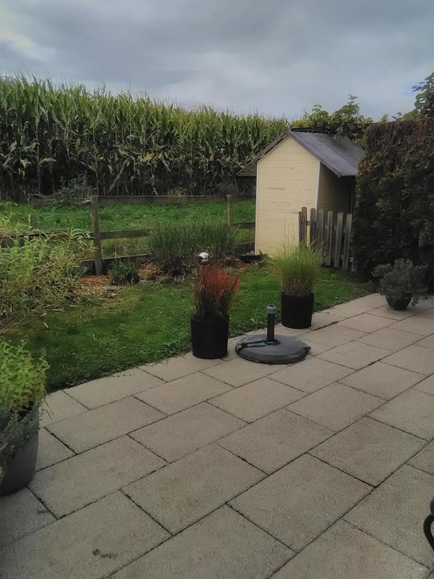 Appartamento 2,5 locali (parte di casa) con giardino - Foto 14 di 16