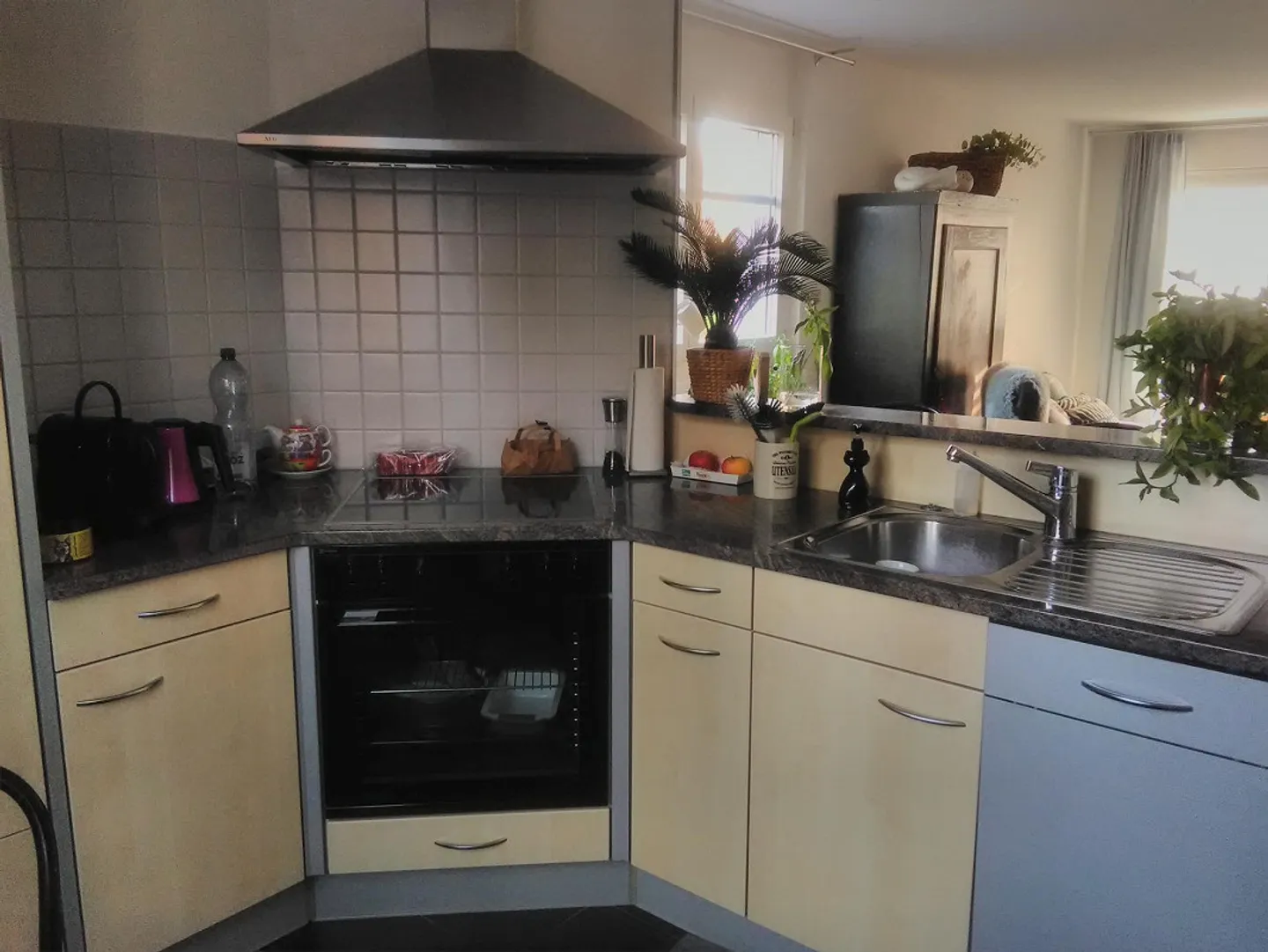 Appartamento 2,5 locali (parte di casa) con giardino - Foto 11 di 16