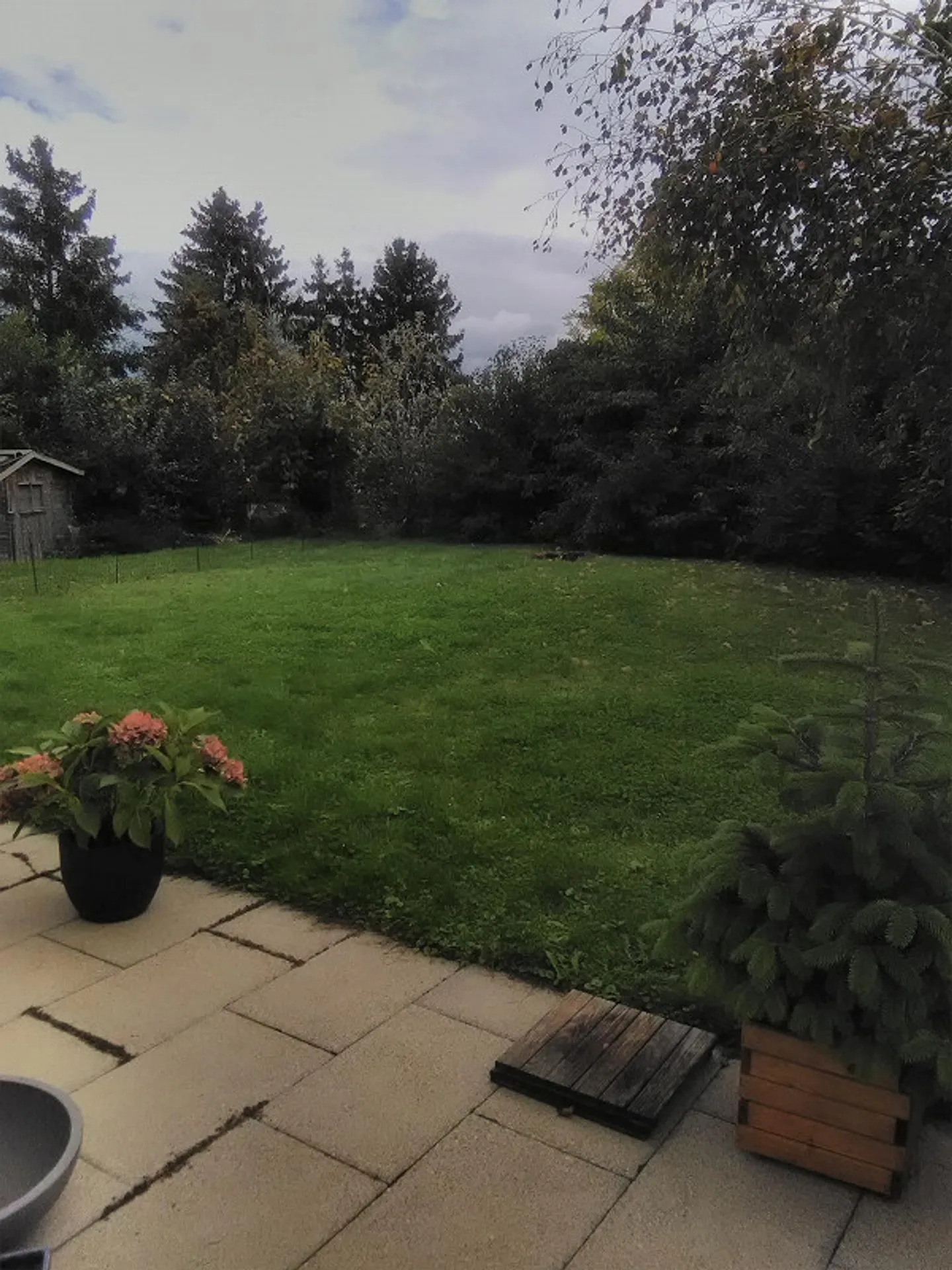 Appartamento 2,5 locali (parte di casa) con giardino - Foto 15 di 16