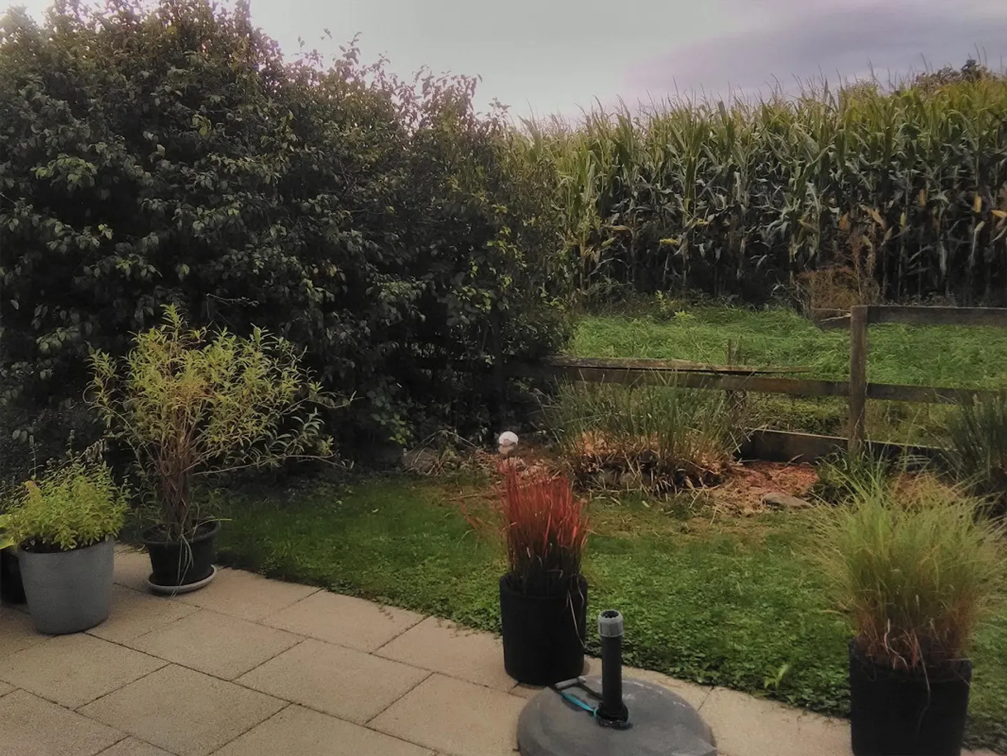 Appartamento 2,5 locali (parte di casa) con giardino - Foto 16 di 16