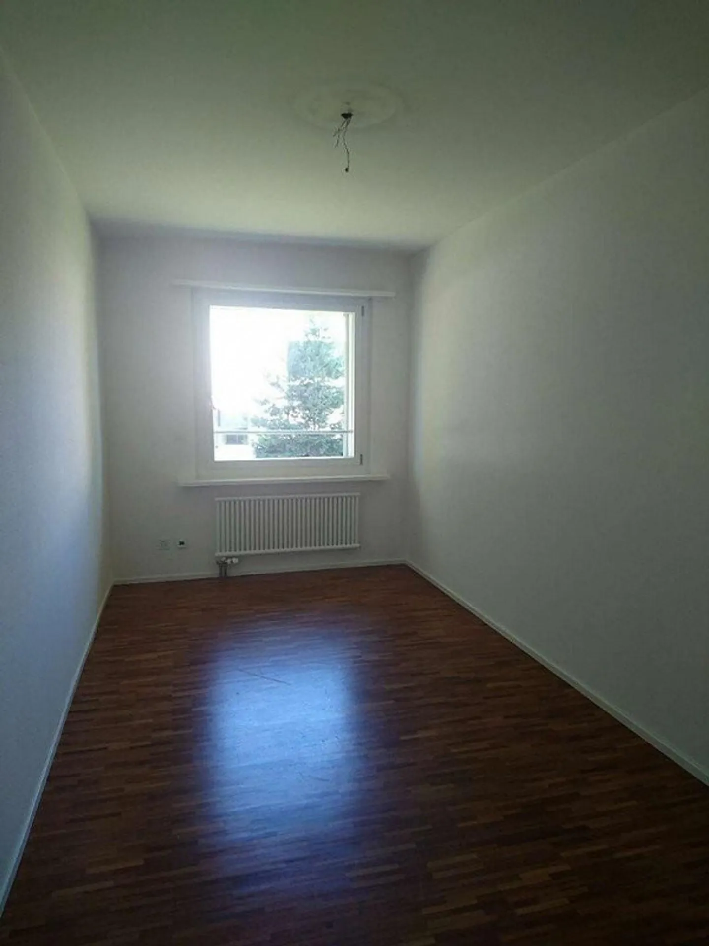 Oasi abitativa a Zollikon - Foto 7 di 11