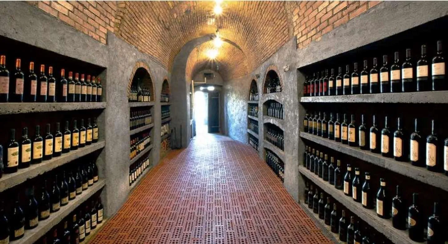 Rustico con Cantine Vinicole - Foto 4 di 12