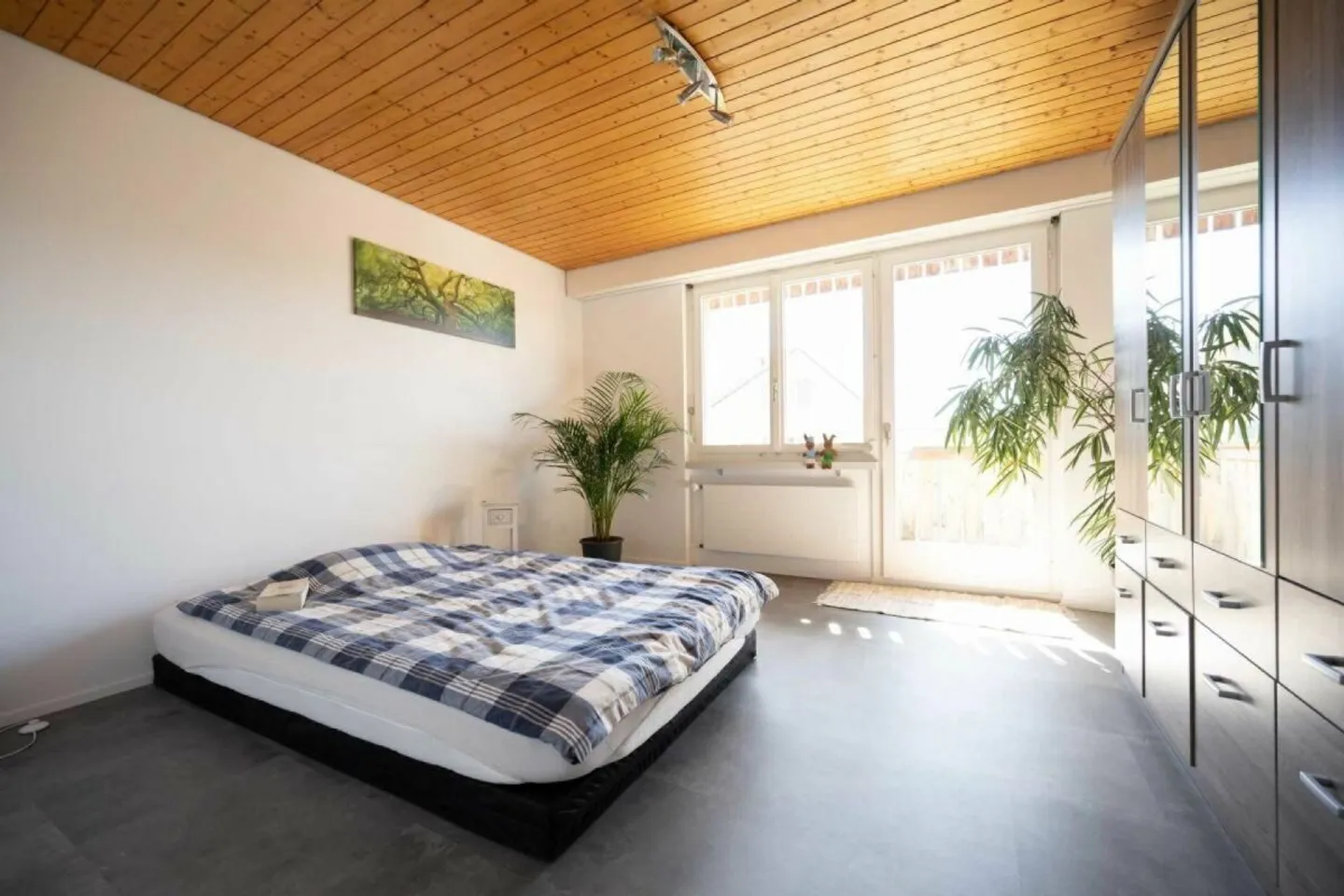 Appartamento in affitto - Foto 5 di 15