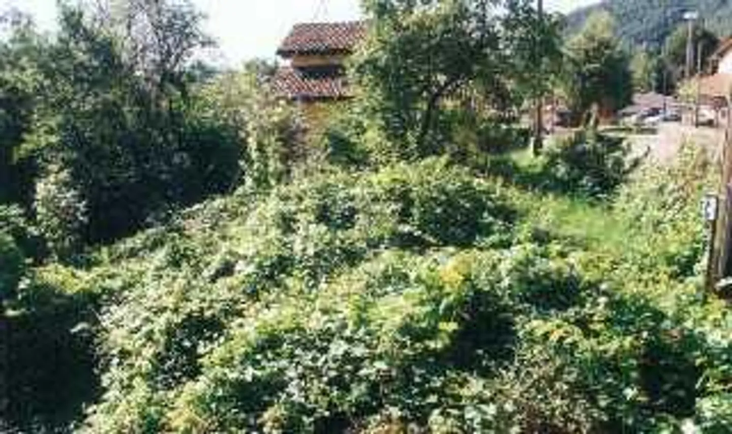 rustico di 3 locali con terreno - Foto 3 di 25