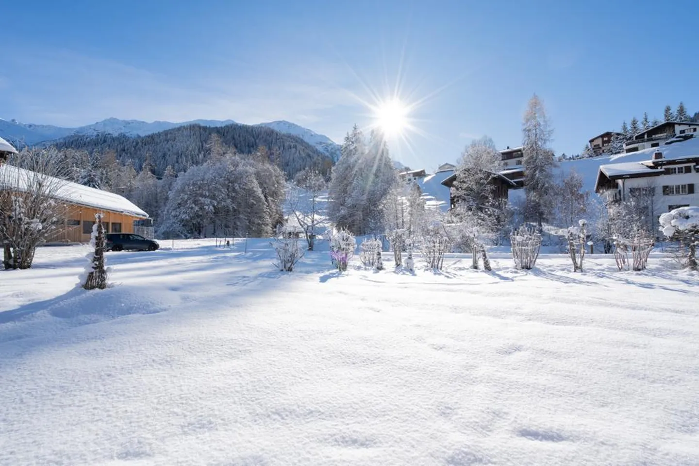 Fields of gold - Photo 1 of 8