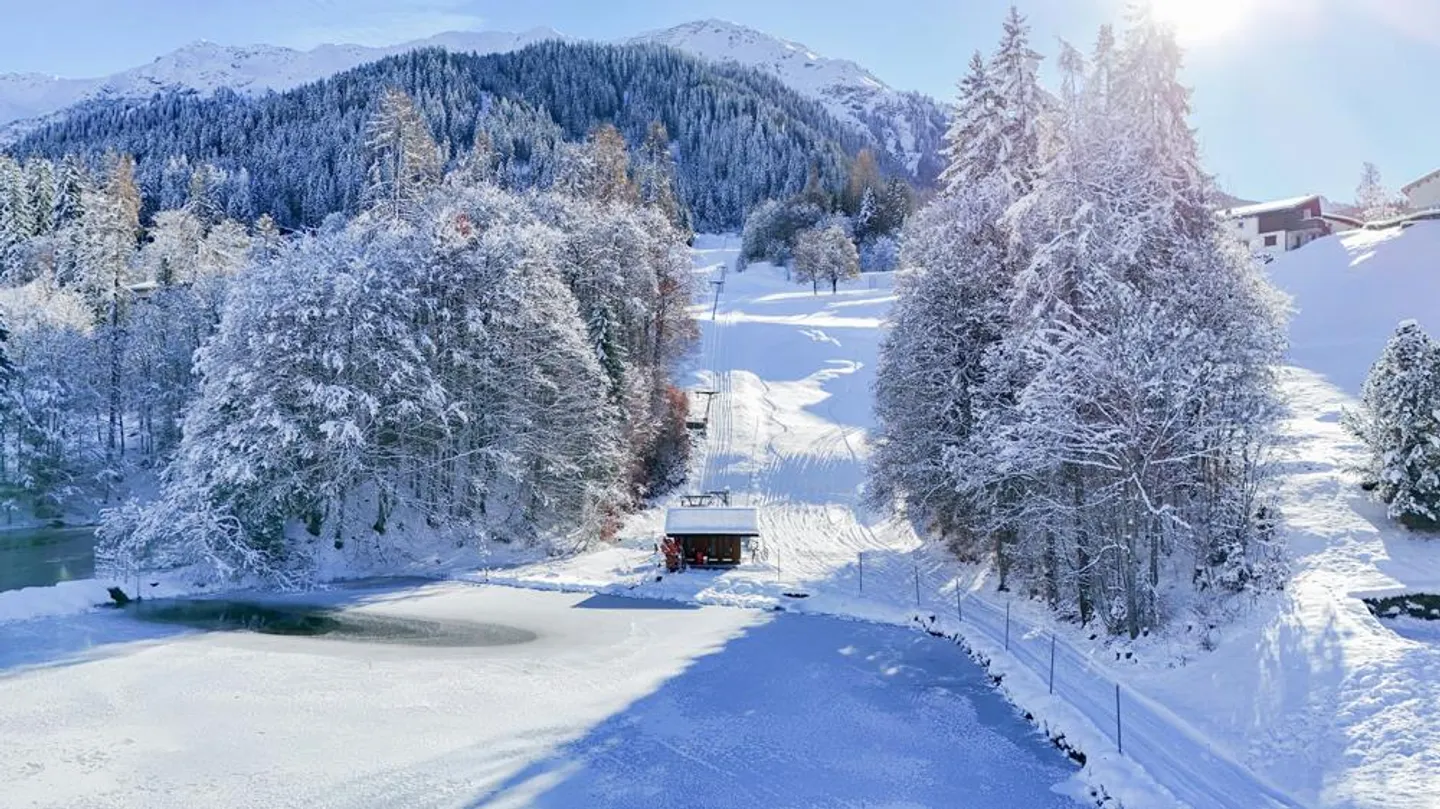 Fields of gold - Photo 8 of 8