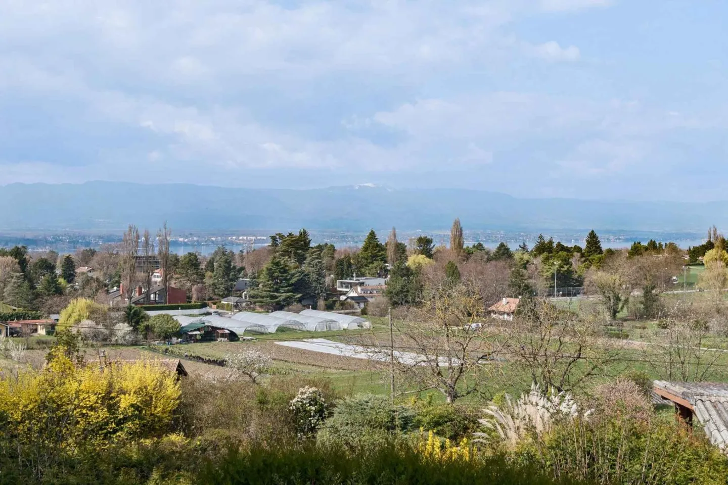 Exclusive: - Photo 2 of 10