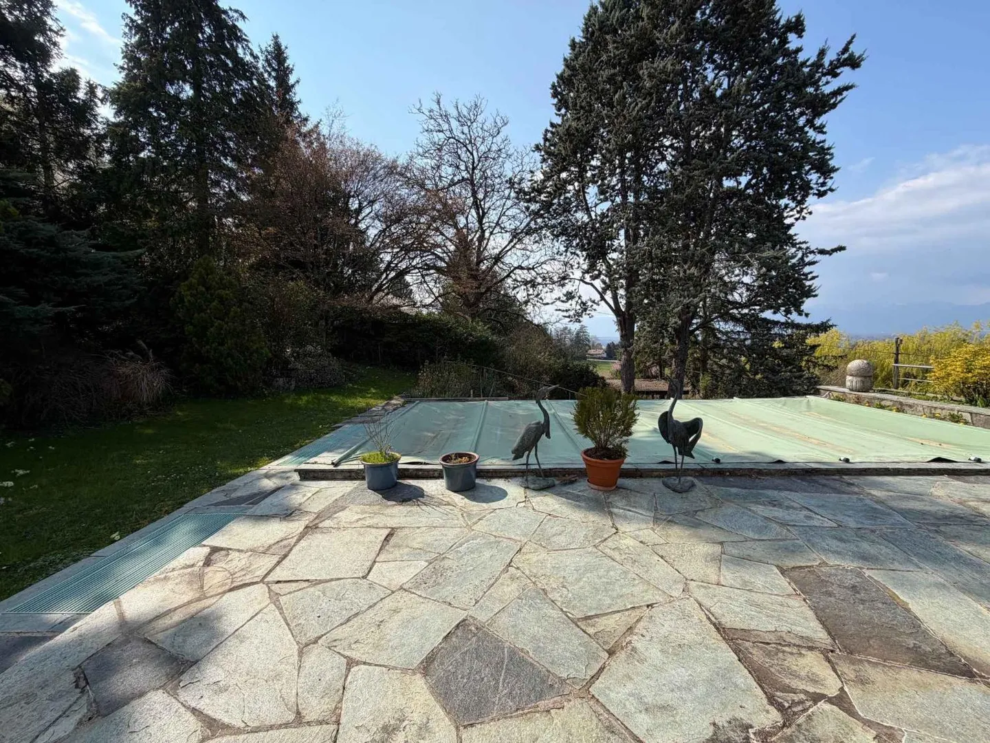 Exclusive: - Photo 5 of 10