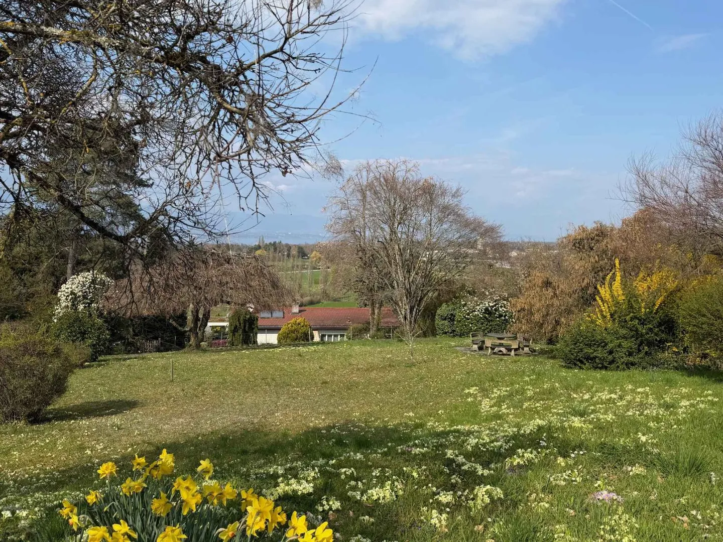 Exclusive: - Photo 6 of 10