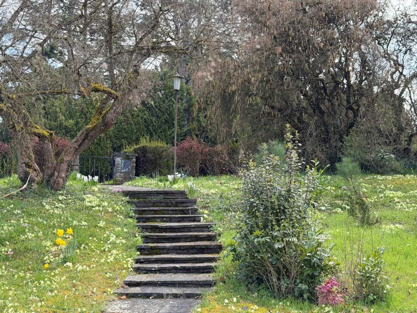 Exclusive: - Photo 10 of 10